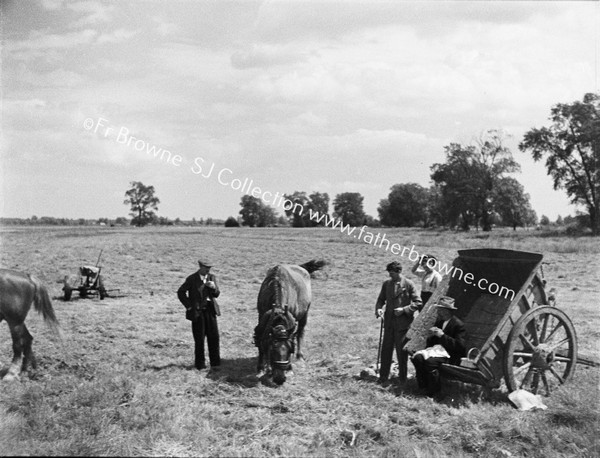 MEN HARVESTING